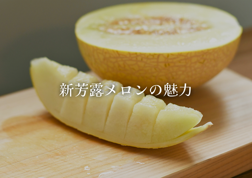 新芳露メロンの魅力