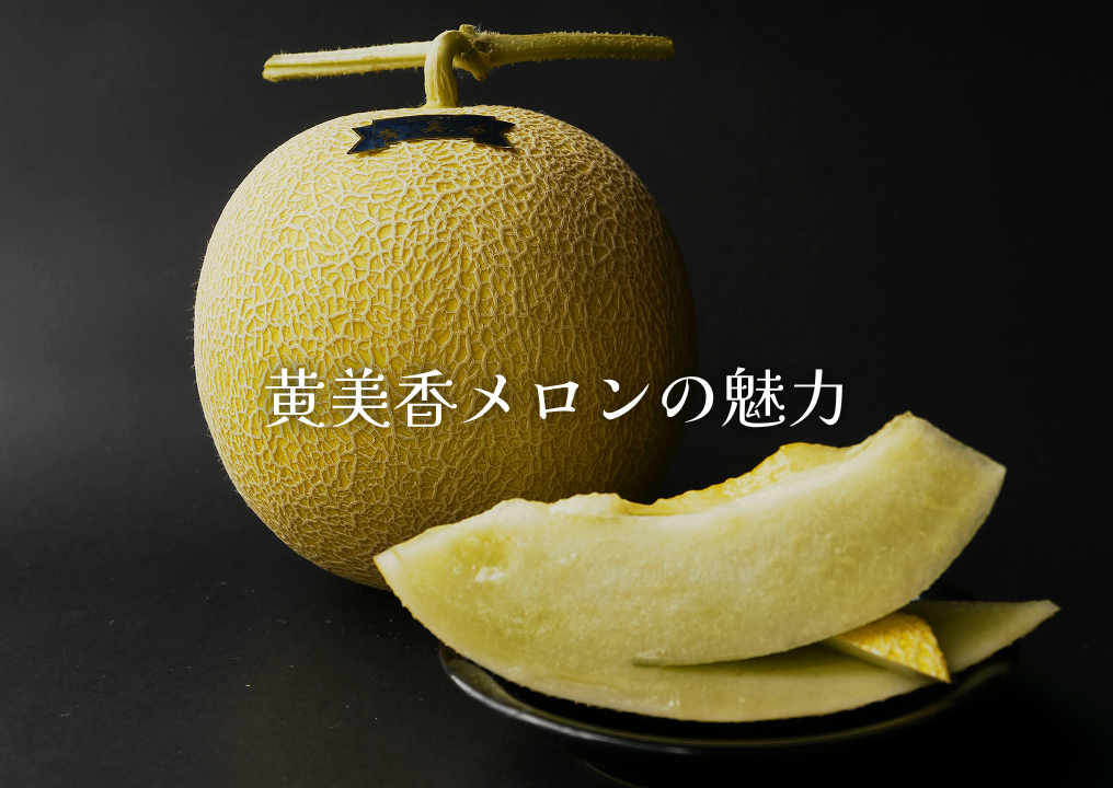 黄美香メロンの魅力