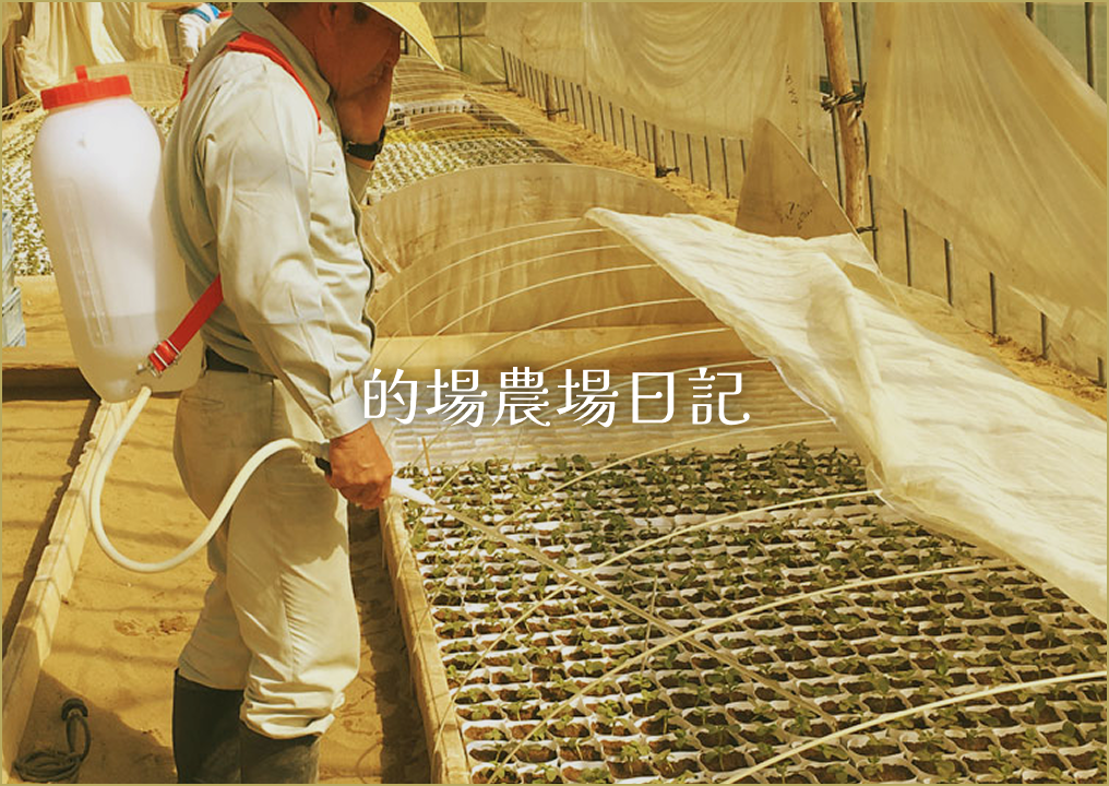 的場農場日記