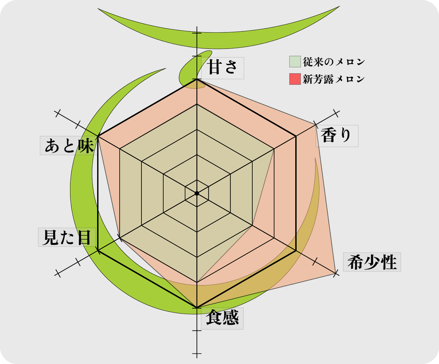 新芳露のチャート