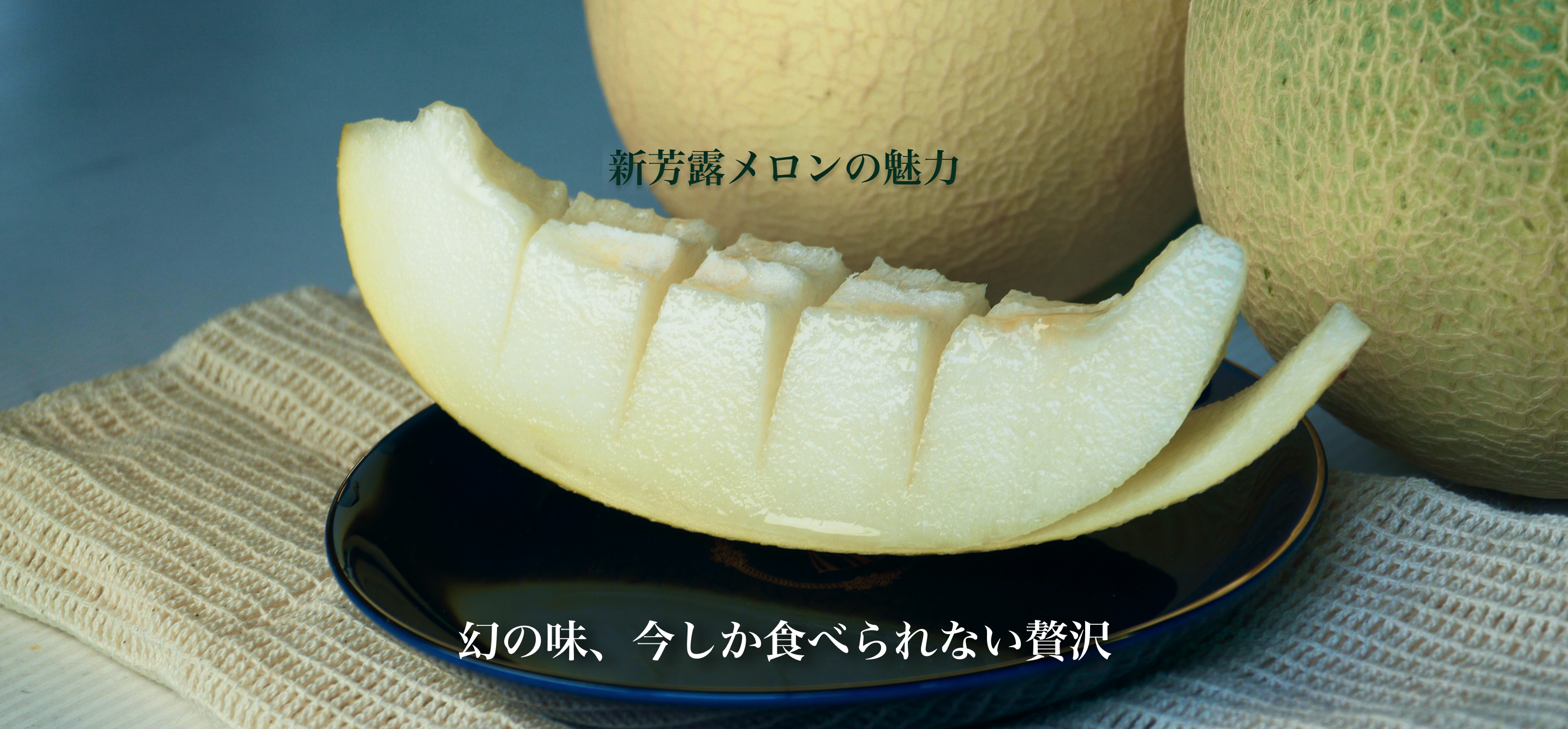 新芳露メロンの画像